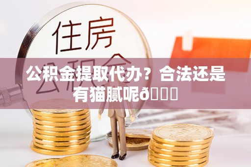 光山公积金提取代办？合法还是有猫腻呢😏